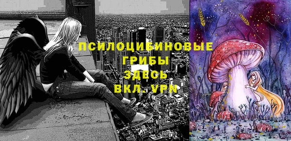 ешки Верея